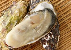 桃取産の牡蠣の写真